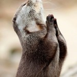 SW_praying