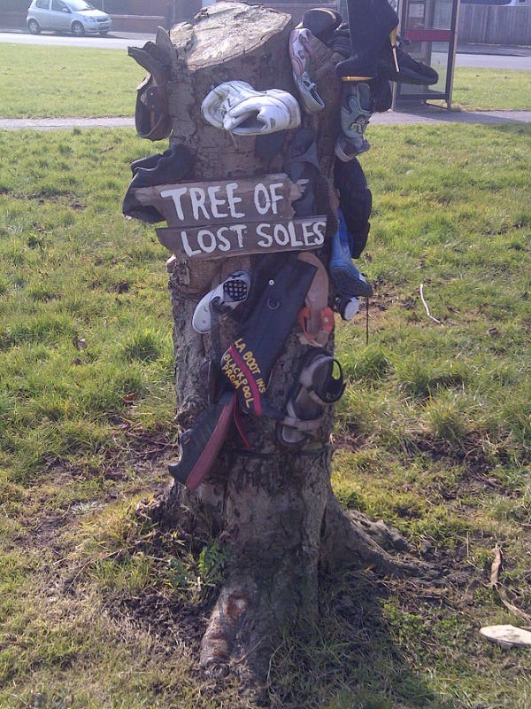 The Tree of Lost Soles