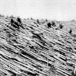 tunguska_event
