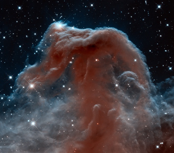 The Horse Head Nebula