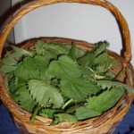 Nettles-265×300