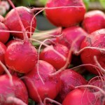 beets