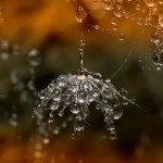 droplets5.img_assist_custom-586×640